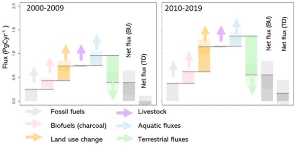 Figure 1: Summarising the key components of the African Carbon Cycle and their change over the first two decades of this century.